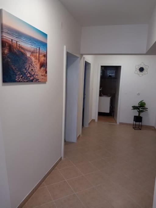 Apartment Dora-100M From The Central Beach 마카르스카 외부 사진